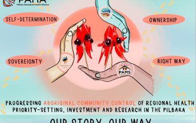 PAHA Newsletter Issue #02
